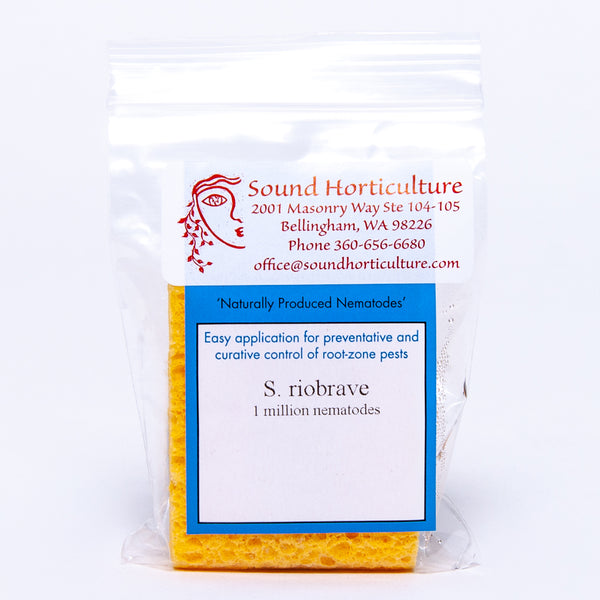 Steinernema riobrave nematodes |  sound-horticulture.myshopify.com