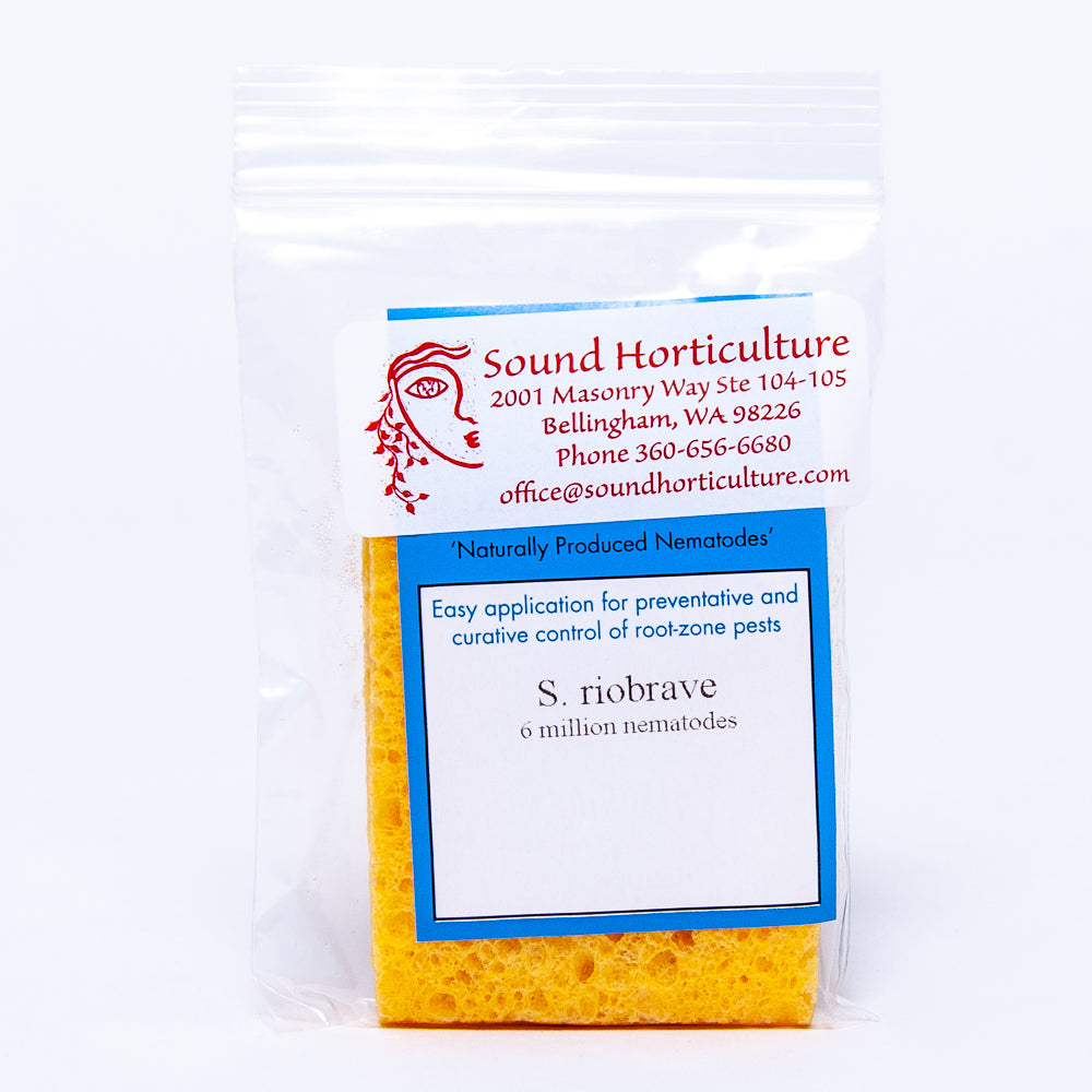 Steinernema riobrave nematodes |  sound-horticulture.myshopify.com