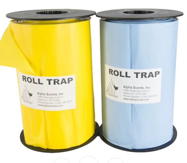 yellow and blue sticky rolls